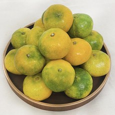 깨비농원꿀맛하우스귤2kg