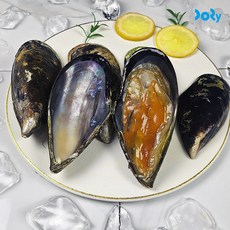 국내산 추자도 해녀채취 급냉 참담치 섭, 1개, 1kg (3-6미)