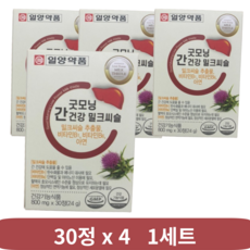 일양약품 굿모닝 간건강 밀크씨슬 24g, 120정, 2개