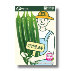 미인풋고추모종