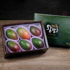 제주왕망고