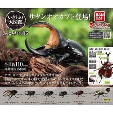  일본 반다이 생물대도감 딱정벌레 곤충 피규어 6탄 6종 풀콤프 캡슐토이, 딱정벌레6종 
