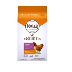 뉴트로초이스키튼