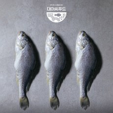 대아씨푸드 여수 반건조 부세조기