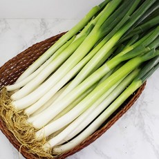 [손질대파] 시원한 음식맛 깨끗한 대파 500g, 1개