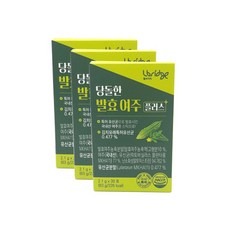 당돌한 발효여주 플러스 2.1g X 30포 3개, 90포