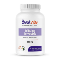 베스트바이트 트리불루스 850mg 240베지캡슐, 1개, 240정