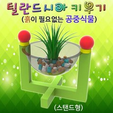 $wpdl$ 관엽식물 틸란드시아 키우기 스탠드형 5인용 이건사야해 ]_[+신학기 초등 입학 용품 과학상자 초등학교실험 과학키드 유아과학교구 초등과학교구 @?+_>^2965