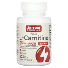 카르니틴 l카르니틴 재로우 Jarrow Formulas L-카르니틴 500mg, 50개