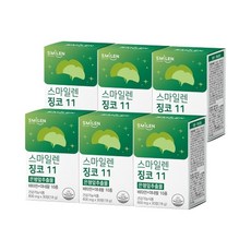 스마일렌 징코 11 은행잎추출물 600mg 30정X6통, 30정, 6개