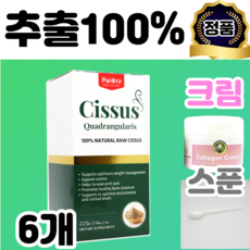 테크노시저스