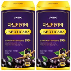 [정품] 자보티카바 Jaboticaba 정, 2개, 120정