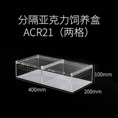 톱사슴벌레암컷