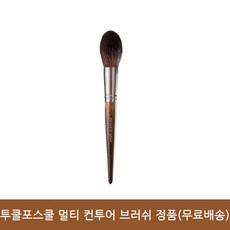 투쿨포스쿨멀티섀도우브러쉬