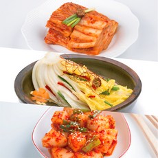 태백하늘 맛김치.열무 총각 오이 2종세트김치, 7)맛김치1kg+파김치1kg+총각1kg