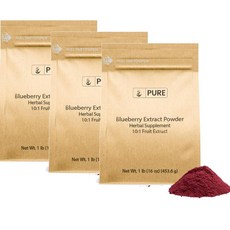퓨어 블루베리 추출물 파우더 PURE ORIGINAL INGREDIENTS Blueberry Extract, 3개, 454g
