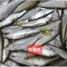 잡고기 1kg 국내산 자연산 꺽지 눈치 피래미 돌고기 매운탕, 최고급섞인거1k(꺽지.메자.돌고기)선택(37,000원), 1개