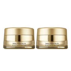 리얼테크닉스에브리데이아이에센셜