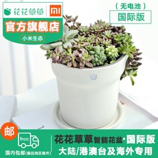 ebe0fb760f11a51f941d98f77385310c984a1fa5c9b539ce4c310bda16ad.jpg
