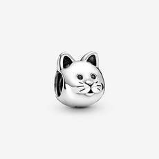 판도라고양이