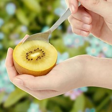청정 제주 고당도 제스프리 골드키위 점보 산지직송, 1개, 제스프리 골드키위특대1.1kg(8개입)