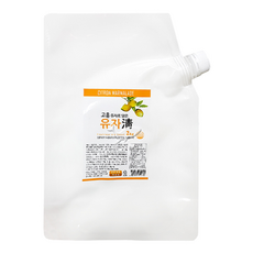 파낙스 고흥 유자청 2kg, 3개