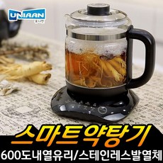 뉴 유니언 만능 티포트 약탕기 중탕기 티메이커 분유포트 다용도 티 쿠커 포트 유니언스마트약탕기 추천