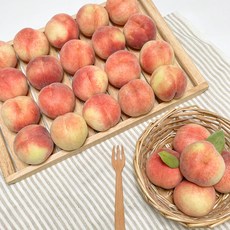 납작복숭아-추천-상품