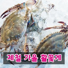 톱밥게