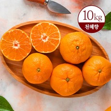 천혜향10kg TOP01