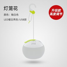 조명대여