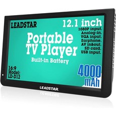 인비오차량거치