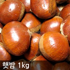 2024년 햇밤 (대) 충남 공주산 알밤, 1개, 1kg