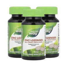 네이처스웨이 아연 징크 산딸기맛 60로렌지 에키네시아 비타민씨 C Zinc