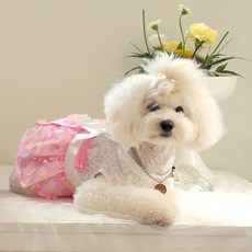 해피앤퍼피 강아지한복 대형견 빅사이즈한복 고양이 고급 한복, 청담동며느리, 1개