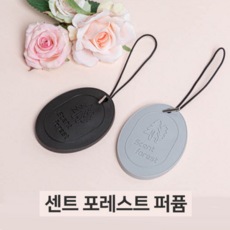 고체디퓨저