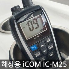 ic-m25