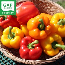 [식품의즐거움] 당일수확 GAP인증 지리산 파프리카 혼합 2kg 가정용, 1개