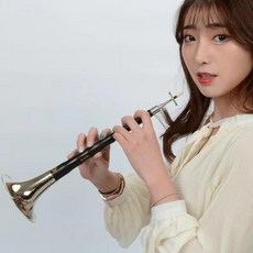 오보에 입문용 더블 리드 관악기 BB 키 목관악기 초보자용 연습용 세트 하드케이스 포함 D 키의 금도금 Suona 전문 콘서트 마스터 중국 Zurna 새로운 2025