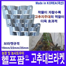 y고추대