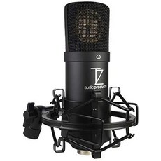 Stellar X2 라지 Diaphragm Cardioid Condenser XLR 마이크 PROD1740158125, 상세 설명 참조0