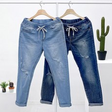 디스트로이드진