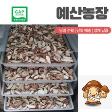 GAP인증 표고버섯 말린 건조 슬라이스 100g, 건조 슬라이스 1봉100g, 1개