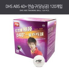 DHS ABS 40+ 연습구(딩닝공) 120개입