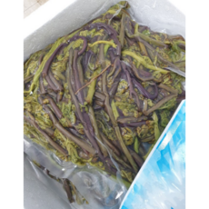 국내산 냉동 생고사리, 1개, 3kg