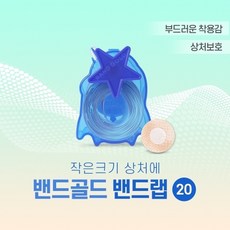 데이토나금통헐크