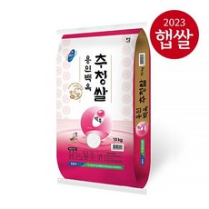 상사 23년산 햅쌀 용인시농협 백옥 추청쌀 10kg상등급