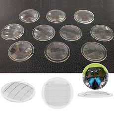 곤충 눈 렌즈 (10개) 겹눈 구조 관찰 잠자리 생물
