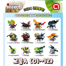곤충블럭