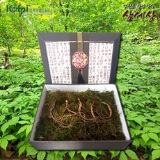 삼세상